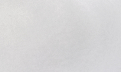 Холст флизелиновый Elysium Серия Флизелин Е59110